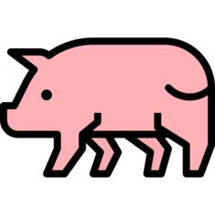 Pork