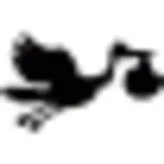 与婴孩的鹳飞行