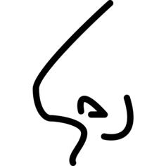Nose