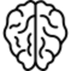 Brain