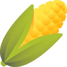 Corn