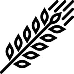 Grain