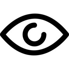 Eye