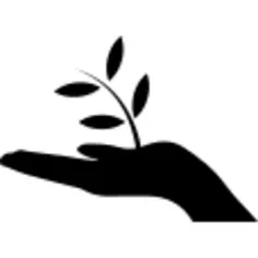 Plant a tree