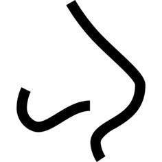 Nose