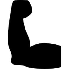 Biceps