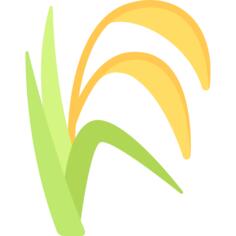 白饭