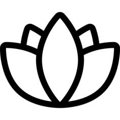 莲花