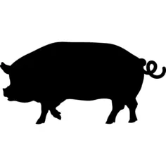 Pig side view silhouette