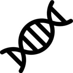 Dna