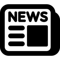 Newspaper Report