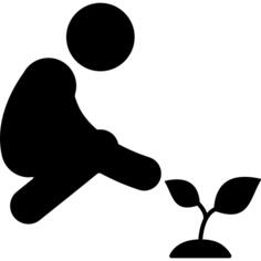 种一棵树