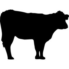Cow silhouette