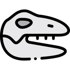 Bone