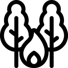 燃烧的树