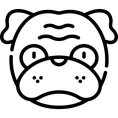 Pug