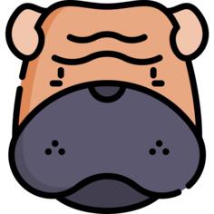 Shar pei
