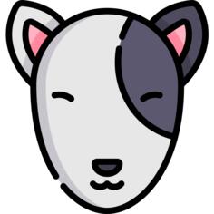 Bull terrier