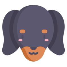Dachshund