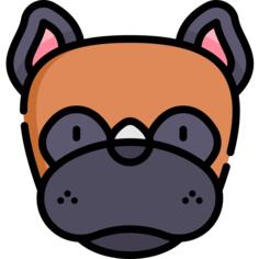 Boxer
