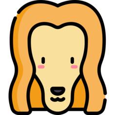 Afghan hound