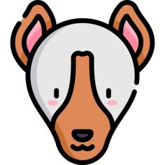 Ibizan hound