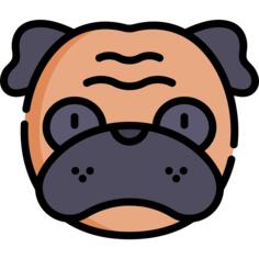 Pug