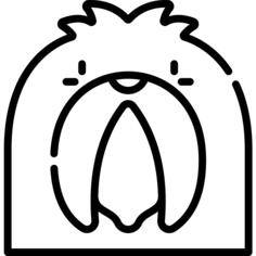 Pekingese