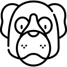 Saint bernard