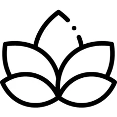 Lotus flower