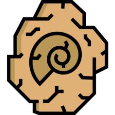 Fossil
