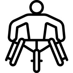 循环