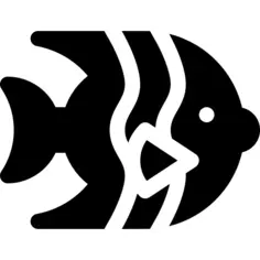 Angelfish