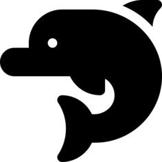 海豚