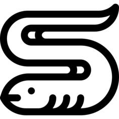 鳗鱼