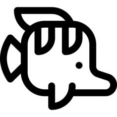 鱼