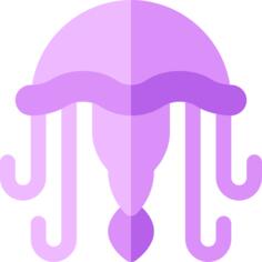 海蜇