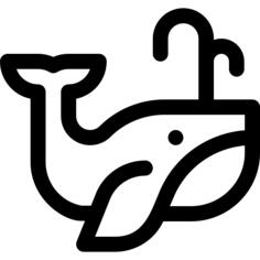 Whale