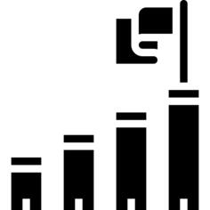 进展