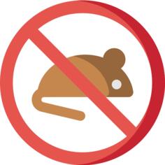 No rodents
