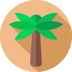 棕榈树