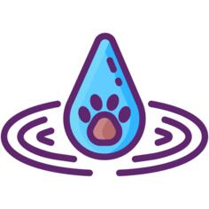 水疗