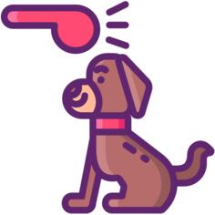 狗训练