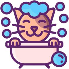 猫浴