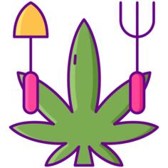 草本