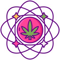 随行人员的影响