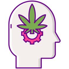 内源性大麻素