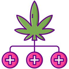 CBD