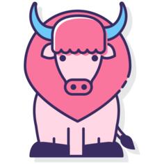 Bison