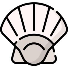 Clam